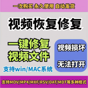 损坏MP4视频修复软件断电恢复工具短片导出摄像机视频文件修复-淘淘虚拟仓