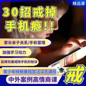 戒瘾网瘾视频教程全套管理技巧亲子关系学习动力在线课程-淘淘虚拟仓
