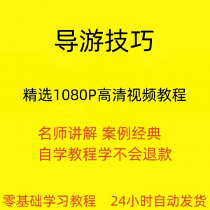 导游技巧视频教程新手自学零基础入门精通教学课程全集-淘淘虚拟仓