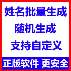 姓名批量生成工具 用户名随机不重复生成软件 可自定义-淘淘虚拟仓