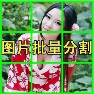 图片批量切割软件 图片批量分割工具 批量切图器 图片批量裁剪-淘淘虚拟仓