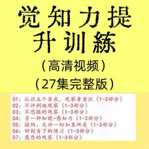 觉知力训练感知力国学智慧2025年心理学自我意识内心疗愈视频教程-淘淘虚拟仓