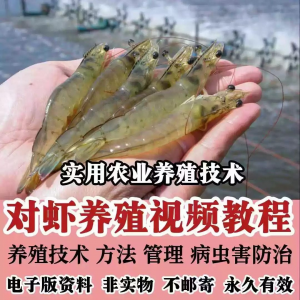 对虾养殖技术视频教学教程水质管理日常养护疾病防治南美白素材-淘淘虚拟仓