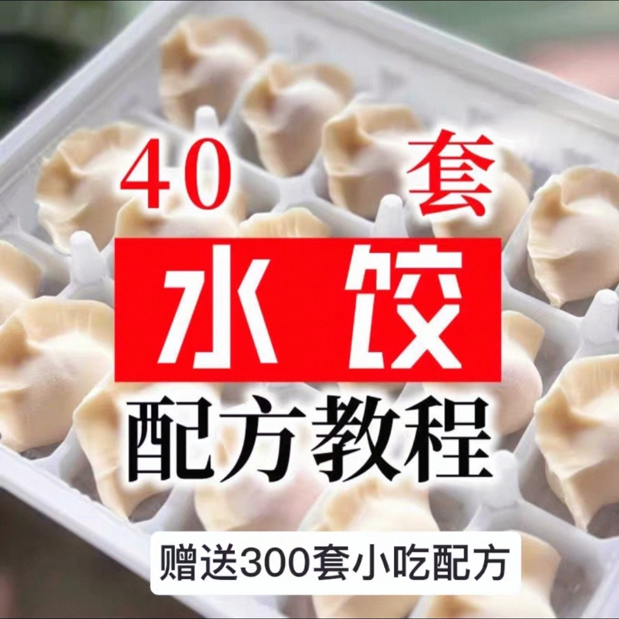 【0.01秒发】40套水饺技术配方 特制技术视频教程-淘淘虚拟仓