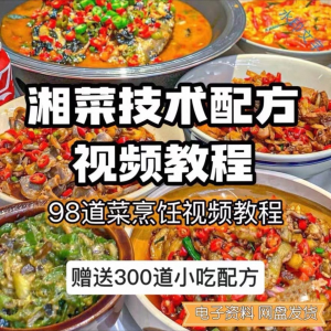 【0.01秒发】98道湘菜技术配方视频教程商用湖南菜炒菜特色小吃-淘淘虚拟仓