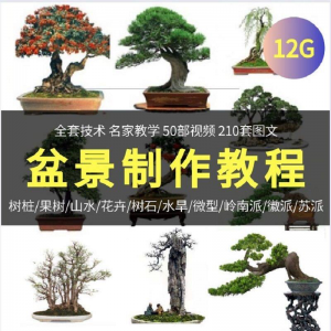 盆景制作技术视频教程工艺教学果树桩山水微型造型全套-淘淘虚拟仓