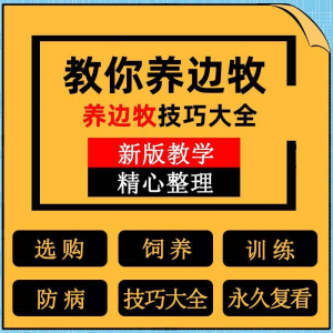 边牧训练方法教程边境牧羊犬驯养技术饲养喂养选购训犬技巧大全套-淘淘虚拟仓