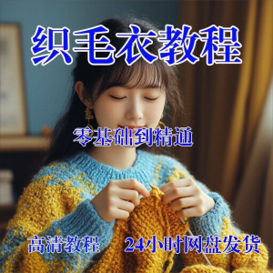 手工织毛衣视频零基础传统棒针钩针毛线编织婴儿童全套-淘淘虚拟仓