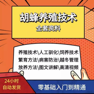 胡蜂养殖技术蜜蜂视频资料黄蜂黑盾怎样养胡蜂人工饲养教程大全-淘淘虚拟仓