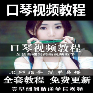 口琴自学教程视频零基础初学者入门到专业十孔24孔教学-淘淘虚拟仓