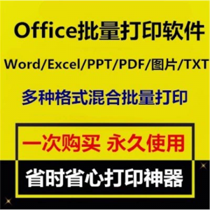 Office批量打印软件工具 Word/Excel/PPT/图片/PDF批量打印软件-淘淘虚拟仓