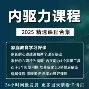 内驱力培训课程培养孩子自觉性提升内在亲子教育学习电子版资料-淘淘虚拟仓