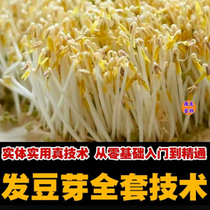 自学发豆芽技术资料豆芽加工制作方法教学 培育豆芽商用视频教程-淘淘虚拟仓