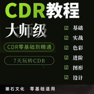 cdr教程视频Coreldraw自学平面设计广告排版零基础入门学习课程-淘淘虚拟仓
