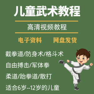 少儿童武术视频教程零基础自学咏春散打擒拿泰拳跆拳道防身术课程-淘淘虚拟仓