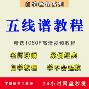 五线谱视频教程教学培训课程在线自学儿童零基础从入门到精通教程-淘淘虚拟仓