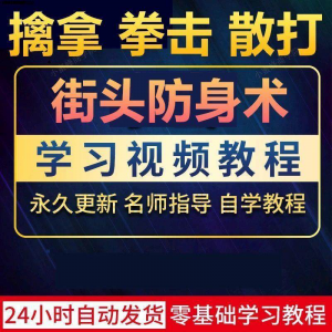 街头防身术擒拿拳击散打视频教程全套入门自学零基础学习教程视频-淘淘虚拟仓