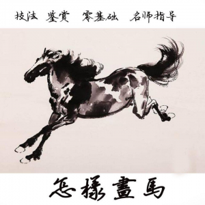 怎么画马视频教程教学自学画马技巧全套零基础入门到提高名水墨画-淘淘虚拟仓