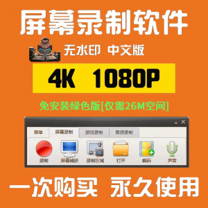 电脑高清1080P录屏录制软件屏幕视频声音录像工具4K无水印mp4格式-淘淘虚拟仓
