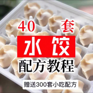 【0.01秒发】40套水饺技术配方 特制技术视频教程-淘淘虚拟仓