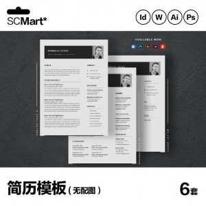 6套高级英文简历Word简历 ai psd设计师简历模板毕业生简历CV29-淘淘虚拟仓