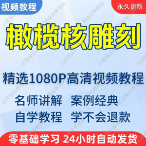 橄榄核雕刻视频学习教程新手自学零基础入门精通教学课程全集-淘淘虚拟仓