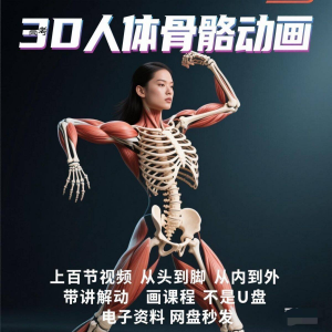 中医人体骨骼肌肉学习3D动态讲解演示视频自学零基础中医人体高考-淘淘虚拟仓