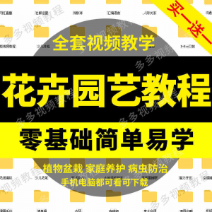 花卉园艺家庭养花盆栽苗圃栽培常识自学视频教程素材资料全套课程-淘淘虚拟仓
