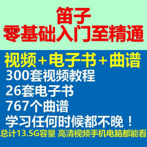 竹笛初学者曲谱入门课程笛零基础视频教学自零基础演奏电子版吹笛-淘淘虚拟仓