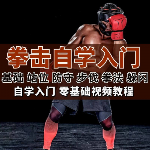 全套拳击指导视频教程自学零基础小白入门自卫搏击格斗防护资料-淘淘虚拟仓