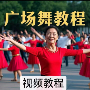 中老年广场舞视频下载高清视频教学打包MP4 MP3背面动作分解教程-淘淘虚拟仓