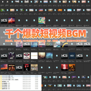 千个爆款短视频BGM背景音乐小红书抖音快手热门VLOG音乐影视解说-淘淘虚拟仓