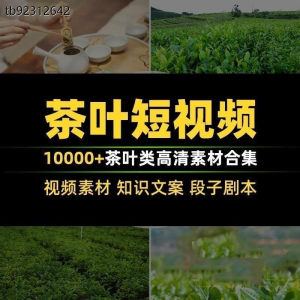 茶叶茶业茶具茶道茶艺茶文化知识文案茶园采茶泡茶高清短视频素材-淘淘虚拟仓