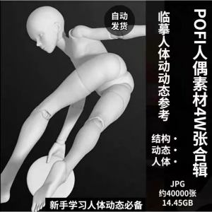pofi无限人偶4W截图绘画素材pofi无线人偶人体动态学习素材临摹-淘淘虚拟仓