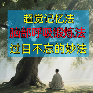 过目不忘修炼记忆力脑部呼吸锻炼法改造大脑健身气功养生训练方法-淘淘虚拟仓