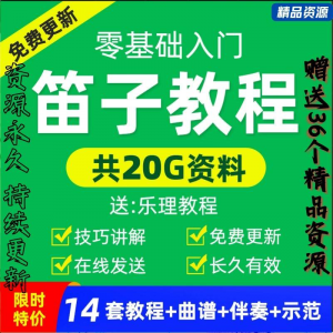 零基础笛子教程自学入门进阶视频初学者教学成人儿童学竹笛教材全-淘淘虚拟仓