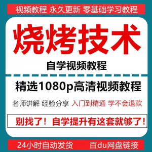 烧烤技术教程视频配方书东北重庆烧烤技术配方教程自学教材零基础-淘淘虚拟仓